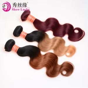 Popular Style 9A Body Wave Colored Malaysia Human Hair 100% Raw Malaysian Human Hair Weave