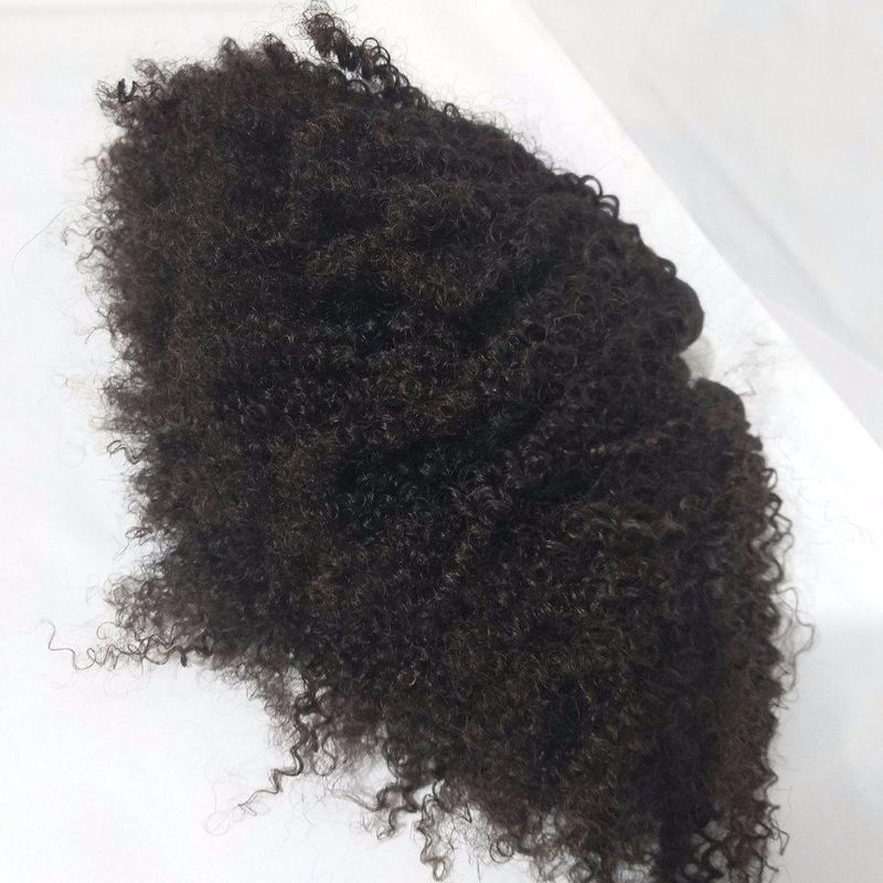 Natural Color Grade 8A Brazilian Human Hair Bundles Afro Kinky Curl with Closure