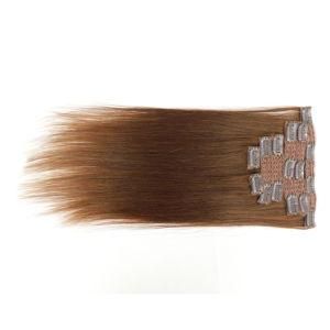 Indian Straight 6# Clip-in 100% Human Hair