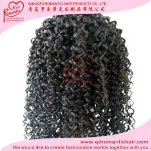 Wholesale Virgin Human Hair Extension Brazilian Virgin Hair Kinky Curly