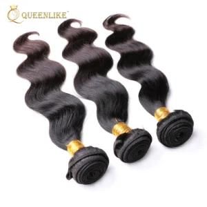 Queenlike New Products Brazilian Human Remy Hair Weaving