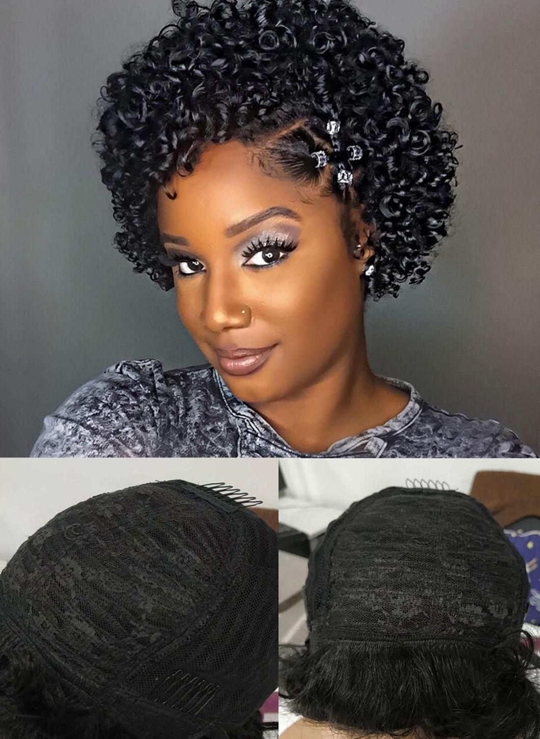 Curly Wig Human Hair Honey Blonde Human Hair Wigs Pixie Short Wigs Human Hair 150 Remy Brazilian Hair Wig