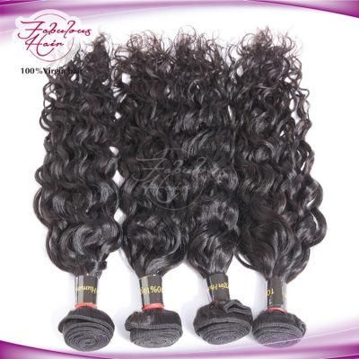 Human Hair Company Natural Wave Brazilian Virgin Remy Human Hair