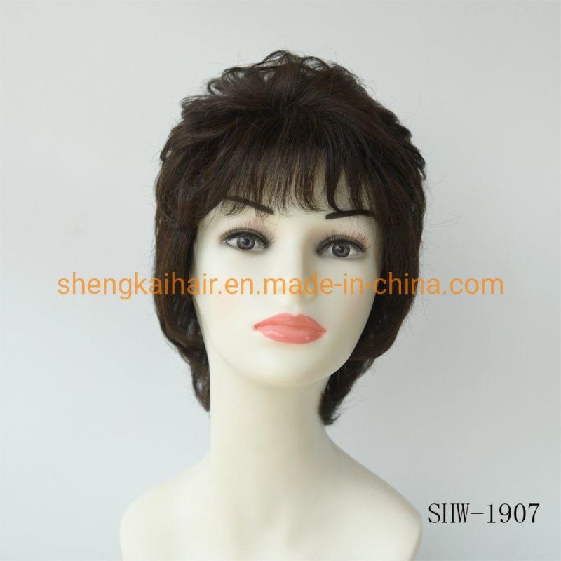 Wholesale Premium Quality Fashion Short Hair Length Full Handtied Human Hair Synthetic Hair Wigs