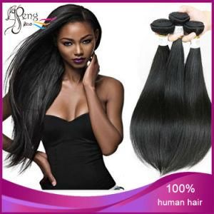 Silk Straight Unprocessed Human Hair Extension