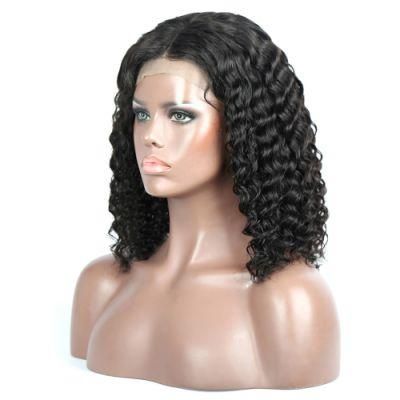 Riisca Curly Human Hair Lace Wig Brazilian Hair Wig