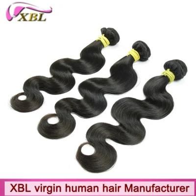 Xbl Hair Factory Virgin Brazilian Bulk Hair