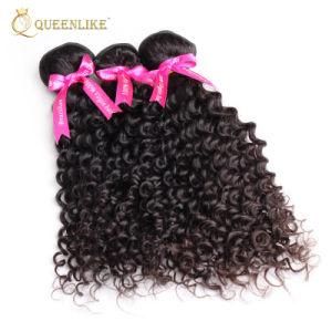 Factory Price Wholesale Kinky Curly Brazilian Human Hair Weave