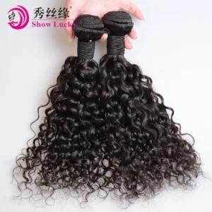 Hair Factory Wholesale Virgin Chinese Human Hair Extensions Natural Wave Hair