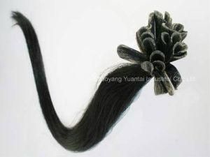 Straight Virgin Prebonded I Tip/Nail Tip/Flat Tip Hair Extension