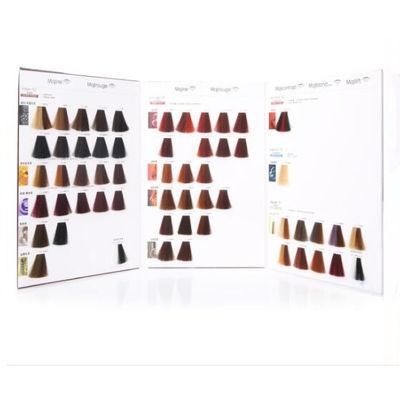 OEM Manufacturer Salon Professional Hair Color Swatch Chart