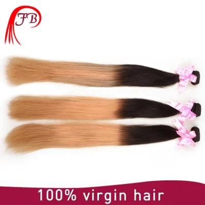 Wholesale Top Quality Barzilian Huamn Omber Straight Remy Hair