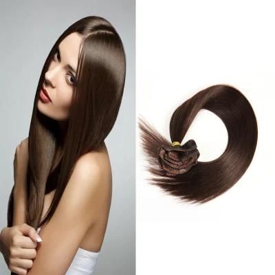 Premium Quality 100% Human Hair Real Remy Clip-in Hair Extensions 24&quot; Color: Brown, 10PCS Set