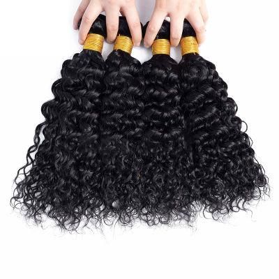 Raw Unprocessed Virgin Brazilian Water Wave Human Hair
