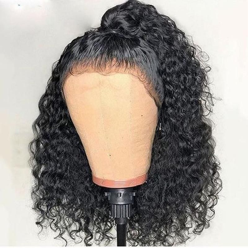 Transparent Lace Brazilian Human Hair Lace Wigs for Black Women