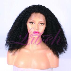 Top Quality Brazilian Human Hair Wig for Black Women