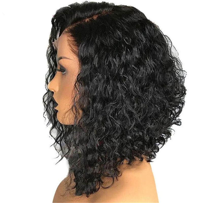 Wholesale Brazilian Virgin Human Hair Front Lace Wig Transparent Swiss Lace Wig Jerry Curly Lace Front Wigs for Black Women