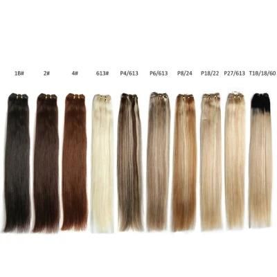 Platinum Blond Brazilian Straight Human Hair Weave Bundles 10&quot;-30&quot; Remy Hair Extensions Brown #2 #4 #P6/613