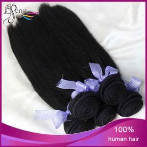 6A Unprocessed Malaysian Virgin Human Hair Stright Hair Extensions