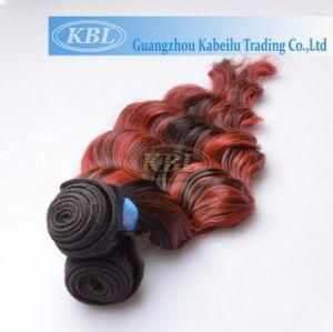 Double Layers Brazilian Ombre Human Hair