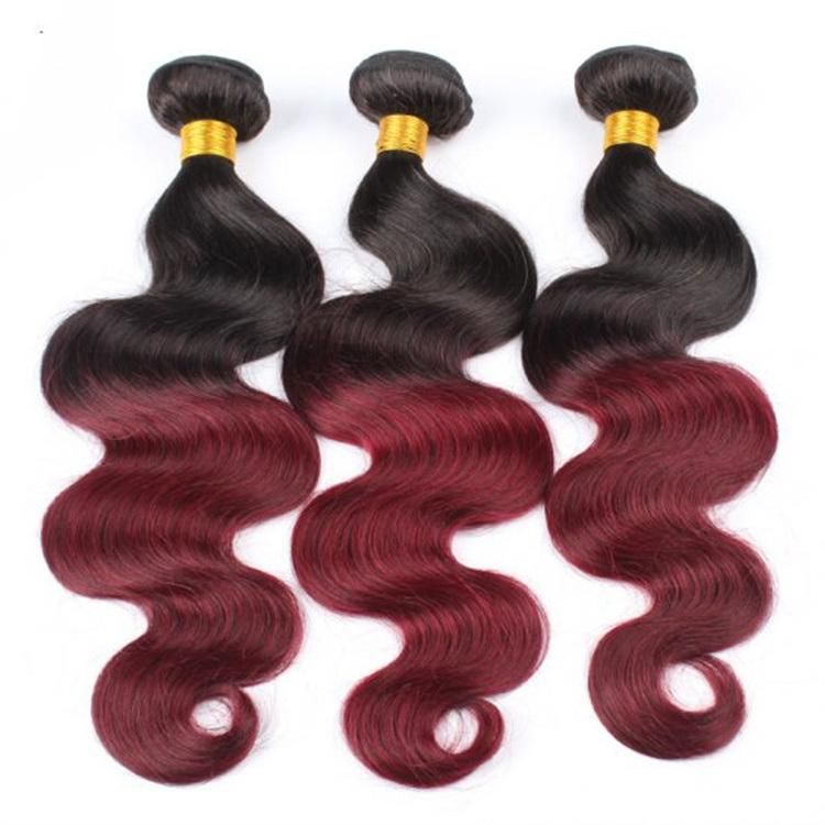 Unprocessed Dyed Easily Remy Human 1b/99j Body Wave with Closure Virgin Hair Body Wave