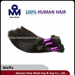 Low Price 100% Brazilian Virgin Human Hair Braid