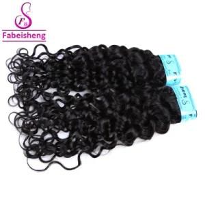Fbs Best Selling 11A Grade Straight Mink Raw Unprocessed Brazilian Hair Cuticle Aligned Hair