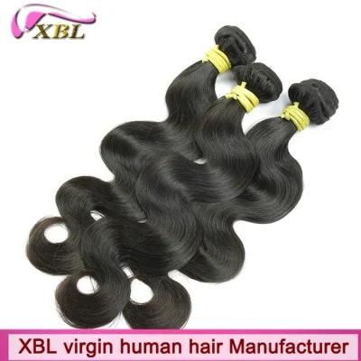 Xbl Top Quality Remy Human Hair Extension Brazilian Virgin Hair