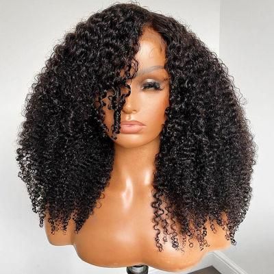 Human Hair Supplier 13X4 HD Lace Front Curly Glueless Human Hair Wigs for Black Women