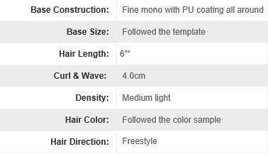 Fine Mono Base with Npu Perimeter Human Hair Wig