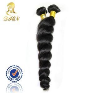 Hair Weft Brazilian Virgin Hair Braid