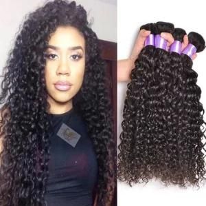 Deep Curly Virgin Human Hair Unprocessed Brazilian Hair