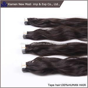 Wholesale Indian Human Hair Best Tape Hair Extensions