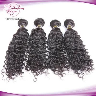 Cambodian Deep Curly Free Samples Cuticle Aligned Raw Virgin Hair