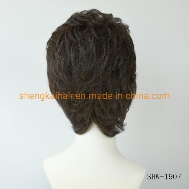 Wholesale Premium Quality Fashion Short Hair Length Full Handtied Human Hair Synthetic Hair Mix Hair Wig