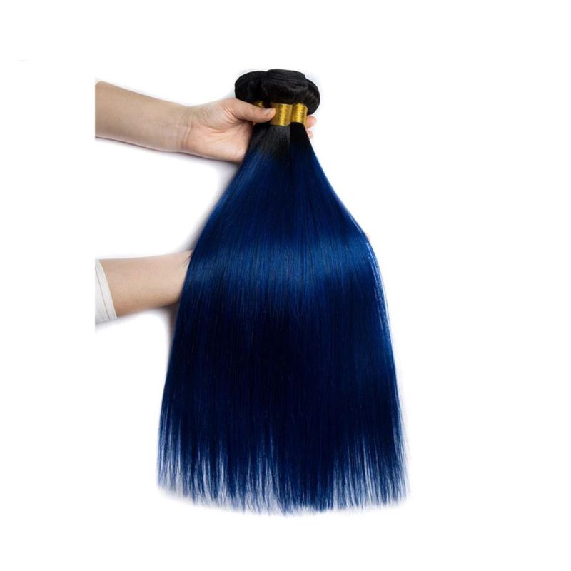 Straight Ombre Hair Bundles with Closure Blue Brazilian Human Hair Weave Bundles with Closure Remy Hair