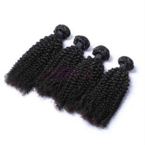 High Quality Jerry Curl Indian 100% Virgin Human Remy Hair