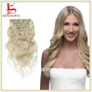 Human Hair Clip in Extensions Human Hair Extensions