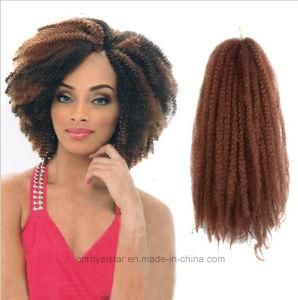African Wig Braid Afro Kinky Curly Fleeciness Explosion Hair Extensions