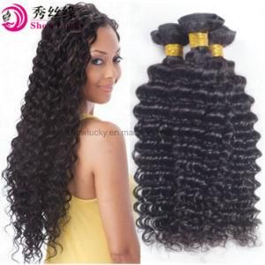 Unprocessed Raw Indian Human Hair Deep Wave Hair Extension Remy Hair Weft Weaving