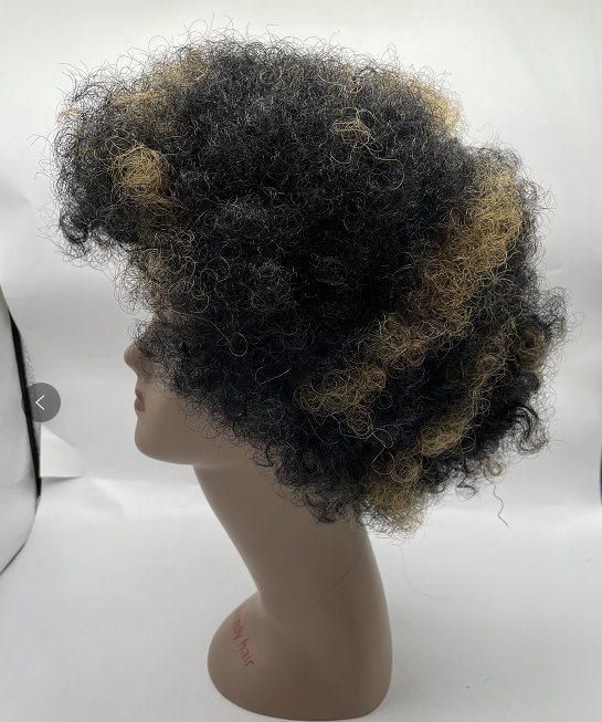 Cheap Afro Short Wigs for Black Women Synthetic Hair