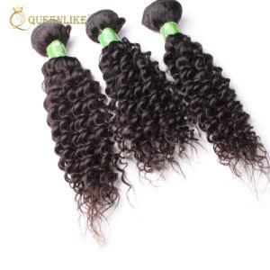 Kinky Curly Cuticle Aligned Mink Brazilian Natural Human Hair Bundles