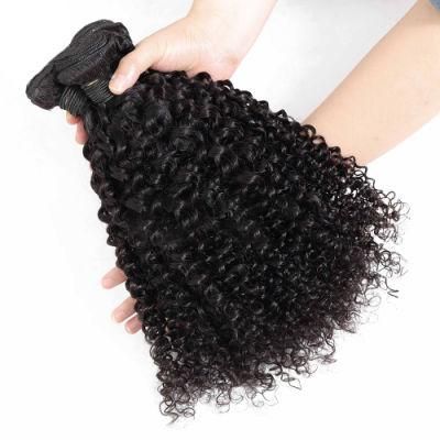Raw Virgin Hair Unprocessed Human Hair Curly Hair Bundles