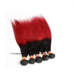 Straight 1b/Bug Ombre Hair Weaves 100% Virgin Brazilian Hair