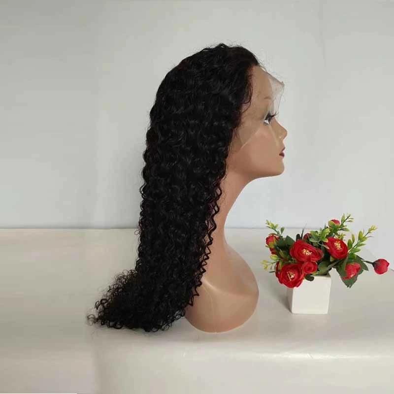 Raw Virgin Brazilian Curly Human Hair Lace Wig