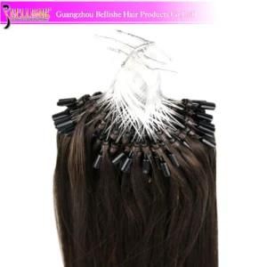 Popular Best Quality Micro Ring Hair, Loop Hair