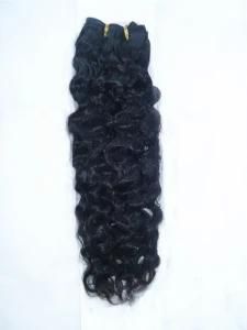 Brazilian Virgin Human Hair Weft, Weaves