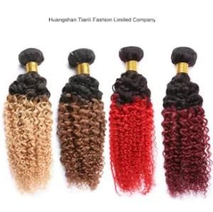 Afro Kinky Brazilian Hair Extension Ombre Color Hair Bundles