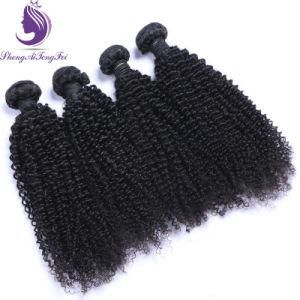 Kinky Curly Body Wavy Human Hair Weft