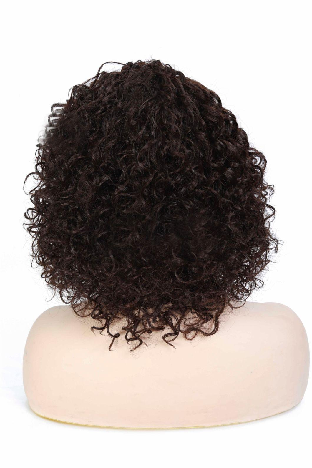Human Hair Lace Front Wigs 13X4 Lace Short Inch Kinky Curly Hair Wig